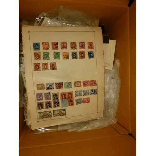 1049 - Star lot : The big stamp box, box of worldwide stamps, dealers packet, album pages, packets of minis... 