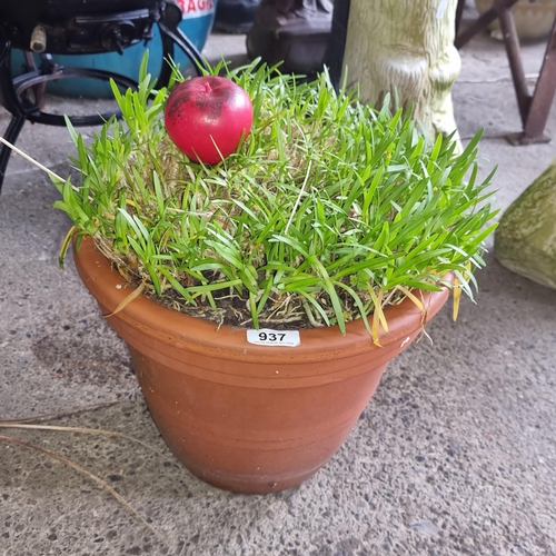 937 - A large flower pot with mature vegetation 
.