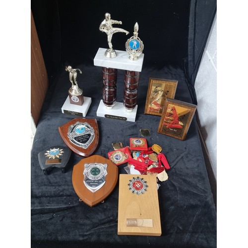 810 - A box containing a selection of sporting trophies and medals.