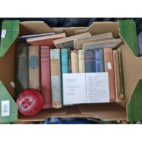 856 - A box of twenty antique and vintage books of mostly Irish literature and drama interest. Including I... 