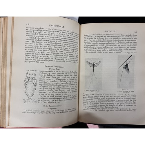 267 - A wonderful 1931 hardback half leather bound book titled 'The Standard Natural History - From Amoeba... 