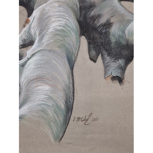 123 - A fabulous original pastel on paper artwork dating to 2000, showing a study of a gnarly tree limb wi... 