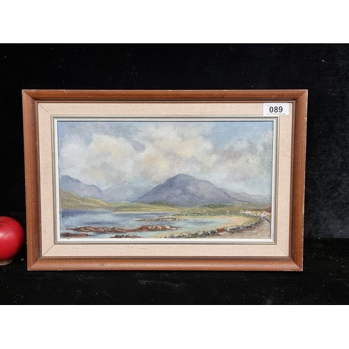 89 - An original oil on board painting titled ' Connemara Co. Galway'. Features the titular landscape sce... 