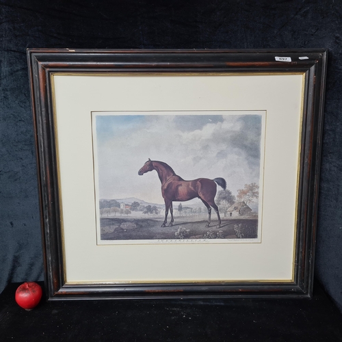 897 - A vintage print of an engraving inspired by the original painting 'Sweetwilliam' by George Stubbs. F... 