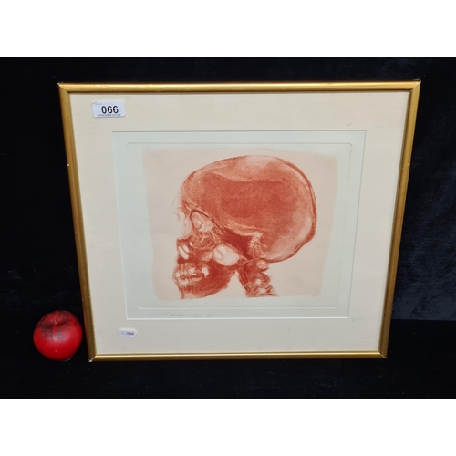 66 - A wonderful limited edition (3/4) copper plate etching featuring a human skull. Signed 'Muriet' bott... 