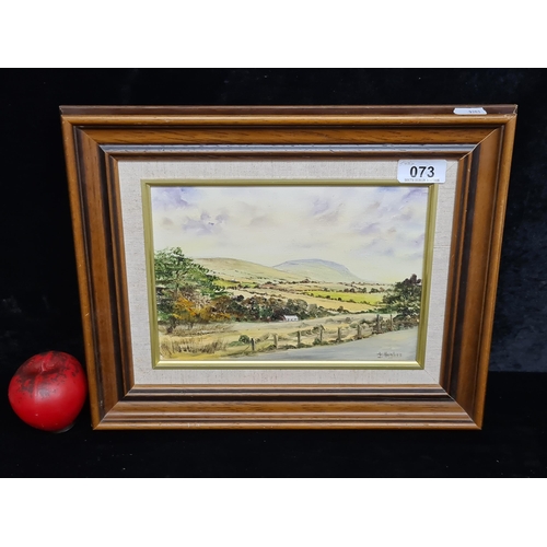 73 - A charming original oil on board painting featuring a traditional west of Ireland landscape scene of... 