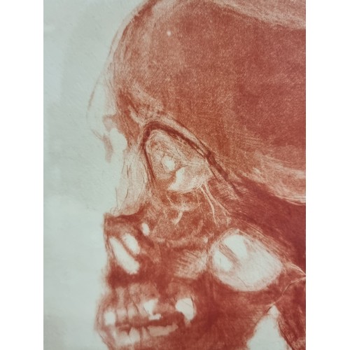 66 - A wonderful limited edition (3/4) copper plate etching featuring a human skull. Signed 'Muriet' bott... 