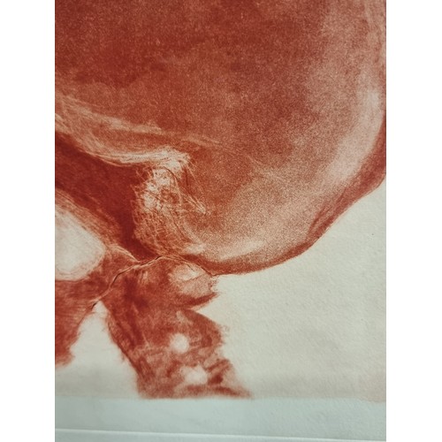 66 - A wonderful limited edition (3/4) copper plate etching featuring a human skull. Signed 'Muriet' bott... 