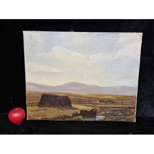 61 - A lovely oil on canvas painting featuring a serene landscape with sods of turf and mountains to dist... 