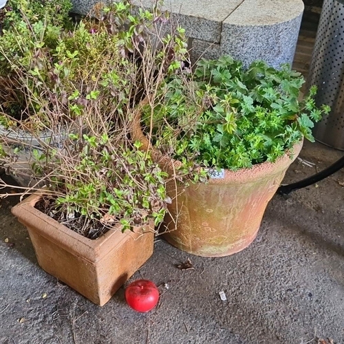 883 - A pair of traditional terracotta plant pots with a lovely aged patina