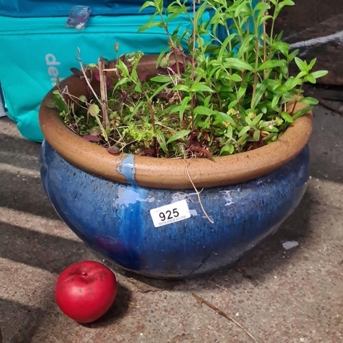 925 - A classic large ceramic planter with vibrant blue glaze and contrasting terra cotta rim, inclusive o... 