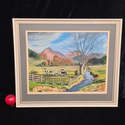 115 - A charming original oil on board painting titled 'Pow Beck and Catbells, Newlands Valley'. Features ... 