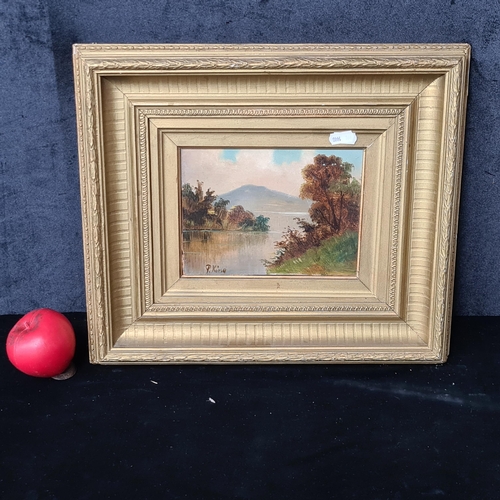 132 - A gorgeous late 19th century oil on board painting. Features a tranquil lakeside landscape. Signed '... 