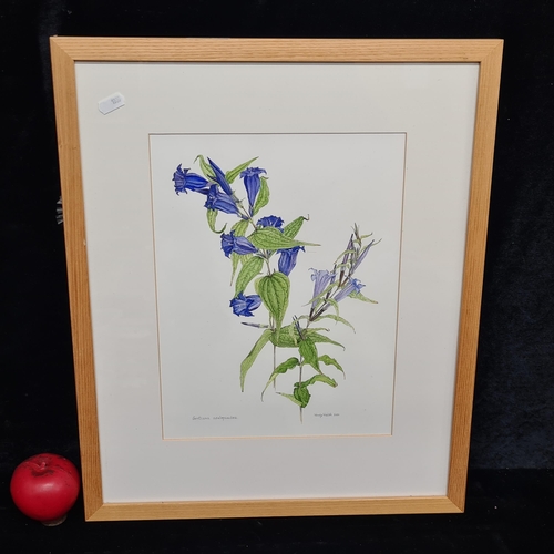 79 - Star Lot: Wendy Walsh (1915-2014) A beautifully intricate water colour on paper painting. Features a... 