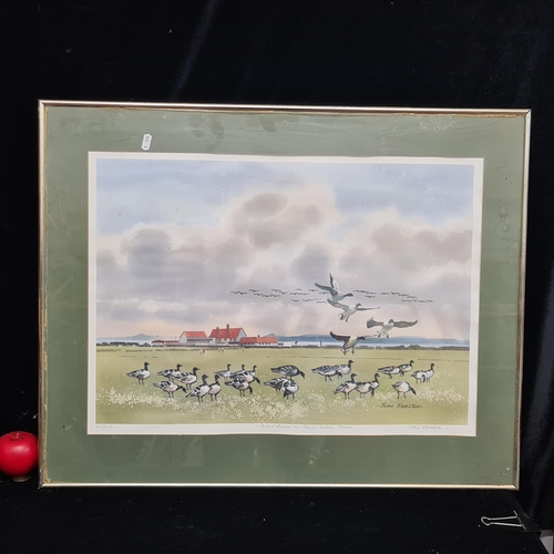 88 - A large limited edition 65 / 200  hand signed John Skelton print titled ' Brent Geese on Royal Dubli... 