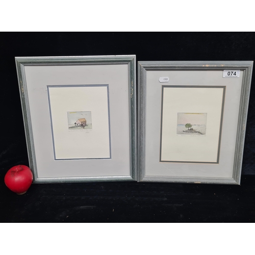 74 - An elegant pair of original Beatrice Dolezalek (b.1944) hand coloured plate etchings on high quality... 