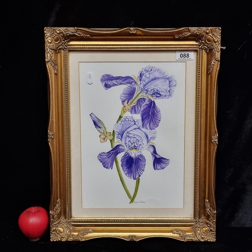 88 - Star Lot: An original 'Irene Hale' watercolour on paper painting. Features a botanical study of Iris... 