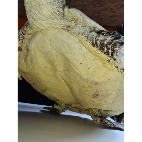 773 - A very large full size faux garden turtle. Indoor or outdoor. Very life like.