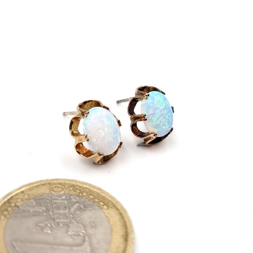 31 - A pair of nine carat gold fire opal stone stud earrings (No backs). Total weight -2 grams. Boxed.