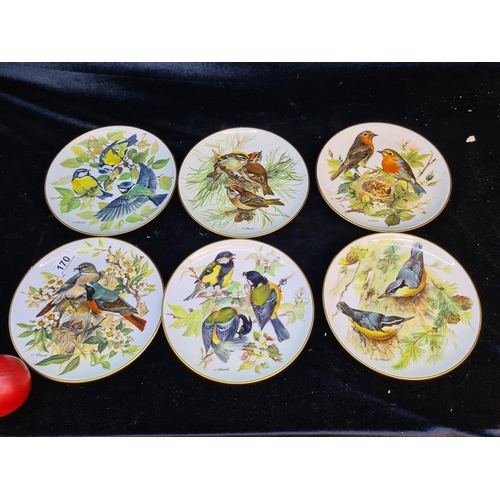 170 - Six gorgeous vintage ALT Tirschenreuth Limited Edition WWF European Bird plates by Urusla Band. Dati... 