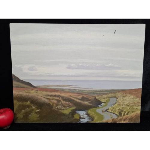 80 - An original Jane Cassidy oil on board painting. Features farm grasslands with the ocean in distance.... 