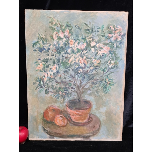 87 - Star Lot : An original Stella Steyn oil on canvas painting. Features a still life painting of potted... 