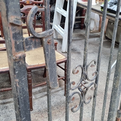 686 - Star Lot : A fabulous pair of vintage heavy wrought iron garden gates with decorative scrollwork and... 