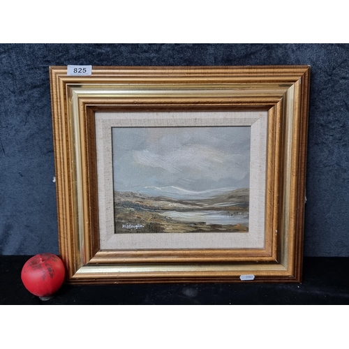 825 - An original Donal S O Braonain (Irish) oil on board painting. Features a stormy landscape with rain ... 