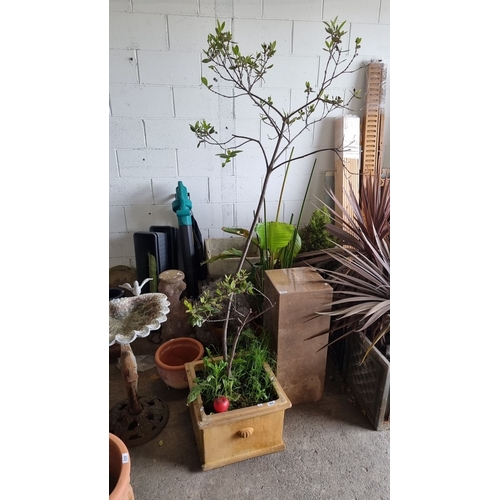 869 - Large ceramic planter with foliage, featuring decorative relief detail on the front. Includes a smal... 