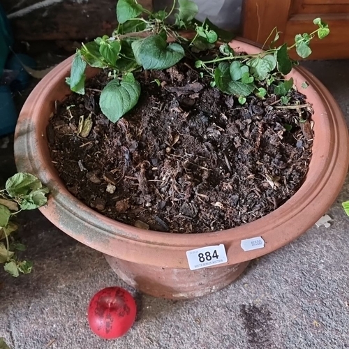 884 - A terracotta planter with embossed floral motif and wide rim. Includes a planted vine. Approximate h... 