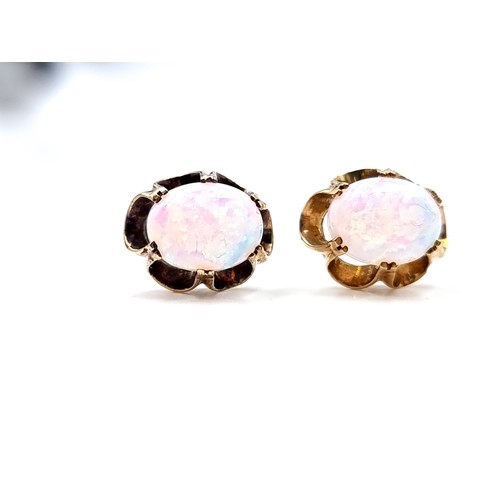 31 - A pair of nine carat gold fire opal stone stud earrings (No backs). Total weight -2 grams. Boxed.