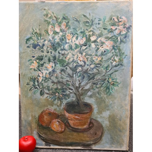 87 - Star Lot : An original Stella Steyn oil on canvas painting. Features a still life painting of potted... 