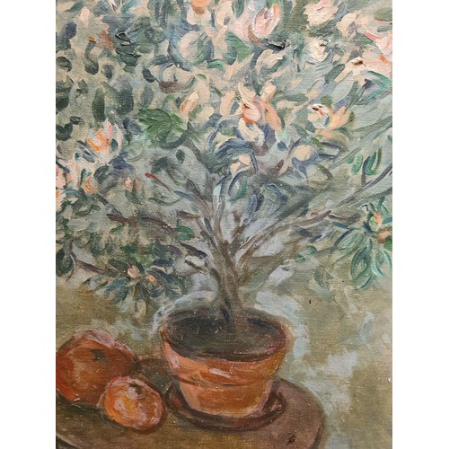 87 - Star Lot : An original Stella Steyn oil on canvas painting. Features a still life painting of potted... 