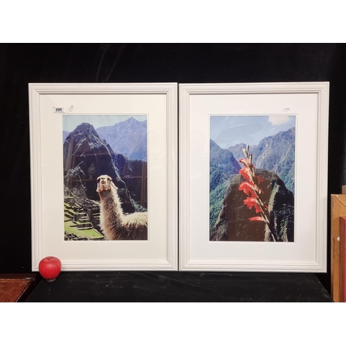 96 - A pair of quality prints of vintage photographs featuring the Peruvian landscapes with llamas and a ... 