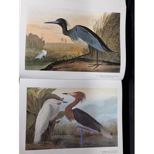 274 - A very very large hardback book of Audubon's Birds of America: The Audubon Society Baby Elephant Fol... 