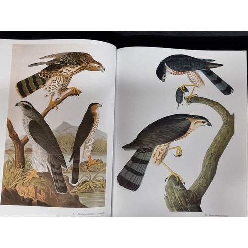 274 - A very very large hardback book of Audubon's Birds of America: The Audubon Society Baby Elephant Fol... 