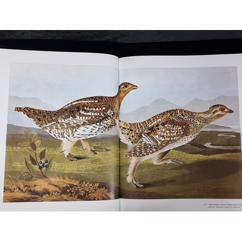 274 - A very very large hardback book of Audubon's Birds of America: The Audubon Society Baby Elephant Fol... 