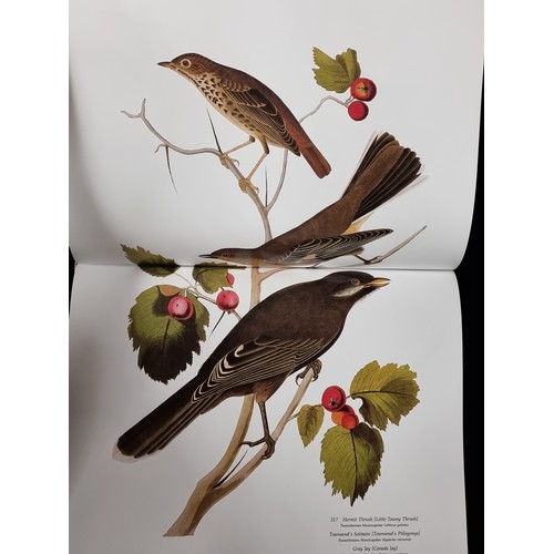 274 - A very very large hardback book of Audubon's Birds of America: The Audubon Society Baby Elephant Fol... 