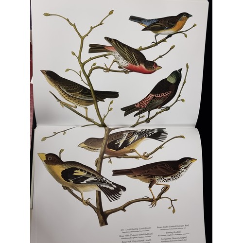 274 - A very very large hardback book of Audubon's Birds of America: The Audubon Society Baby Elephant Fol... 