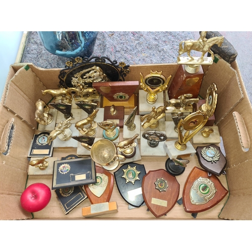 1191 - A large box comprising of equestrian trophies and medal plaques. Including several with horse and ri... 