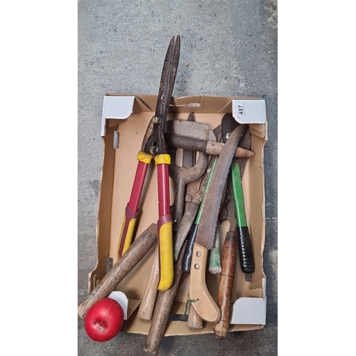 487 - A nice selection of assorted gardening hand tools. Includes Kingfisher Gold shears, a handsaw, clipp... 