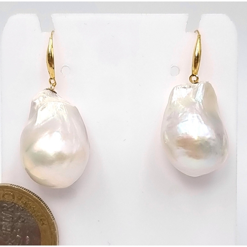 31 - Star Lot : A fabulous brand new pair of 18 carat gold Akoio pearl drop earrings (Baroque). Suitable ... 