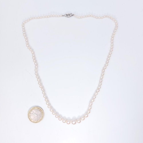 550 - A graduated cultured pearl necklace set with a nine carat white gold clasp with diamond accent. Leng... 