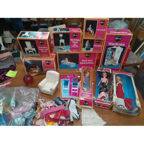 901 - A fabulous case of Sindy dolls, Sindy furniture, clothing and accessories, all in original boxes. Th... 