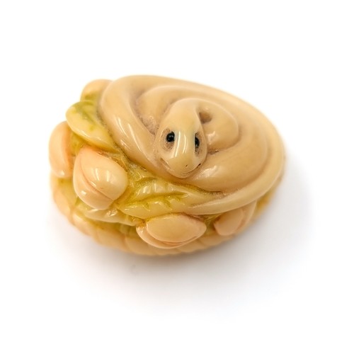 505 - A fantastic original antique bone carved Netsuke (two holes) in the form of a mounted snake lying on... 