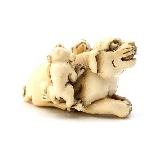 514 - An antique Japanese original bone carved Netsuke (two holes) set with a dog with her two puppies. Di... 