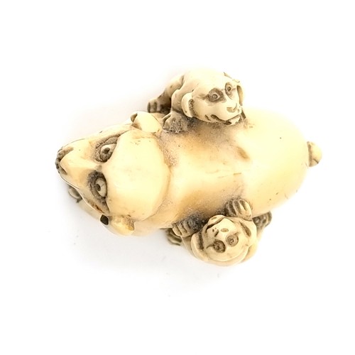 514 - An antique Japanese original bone carved Netsuke (two holes) set with a dog with her two puppies. Di... 