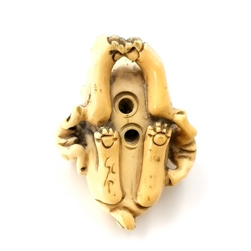 514 - An antique Japanese original bone carved Netsuke (two holes) set with a dog with her two puppies. Di... 