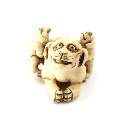 514 - An antique Japanese original bone carved Netsuke (two holes) set with a dog with her two puppies. Di... 