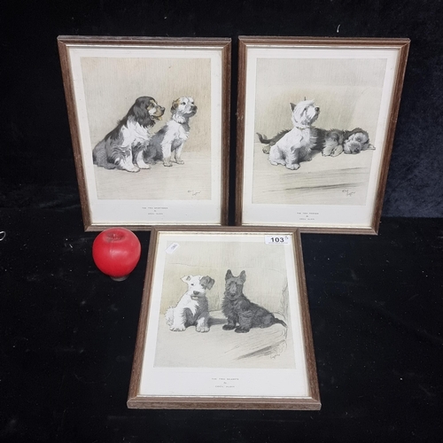 103 - A trio of vintage prints of classic Cecil Aldin drawings / paintings. Titled, 'The Two Scamps', 'The... 